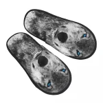 CHAUSSONS LOUP YEUX BLEUS